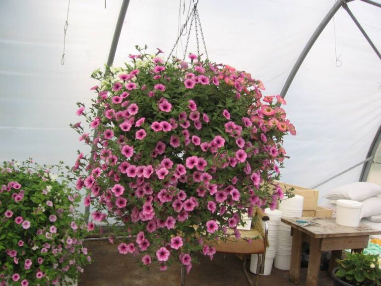 557746399 24704509779165624 7596088137971786202 n