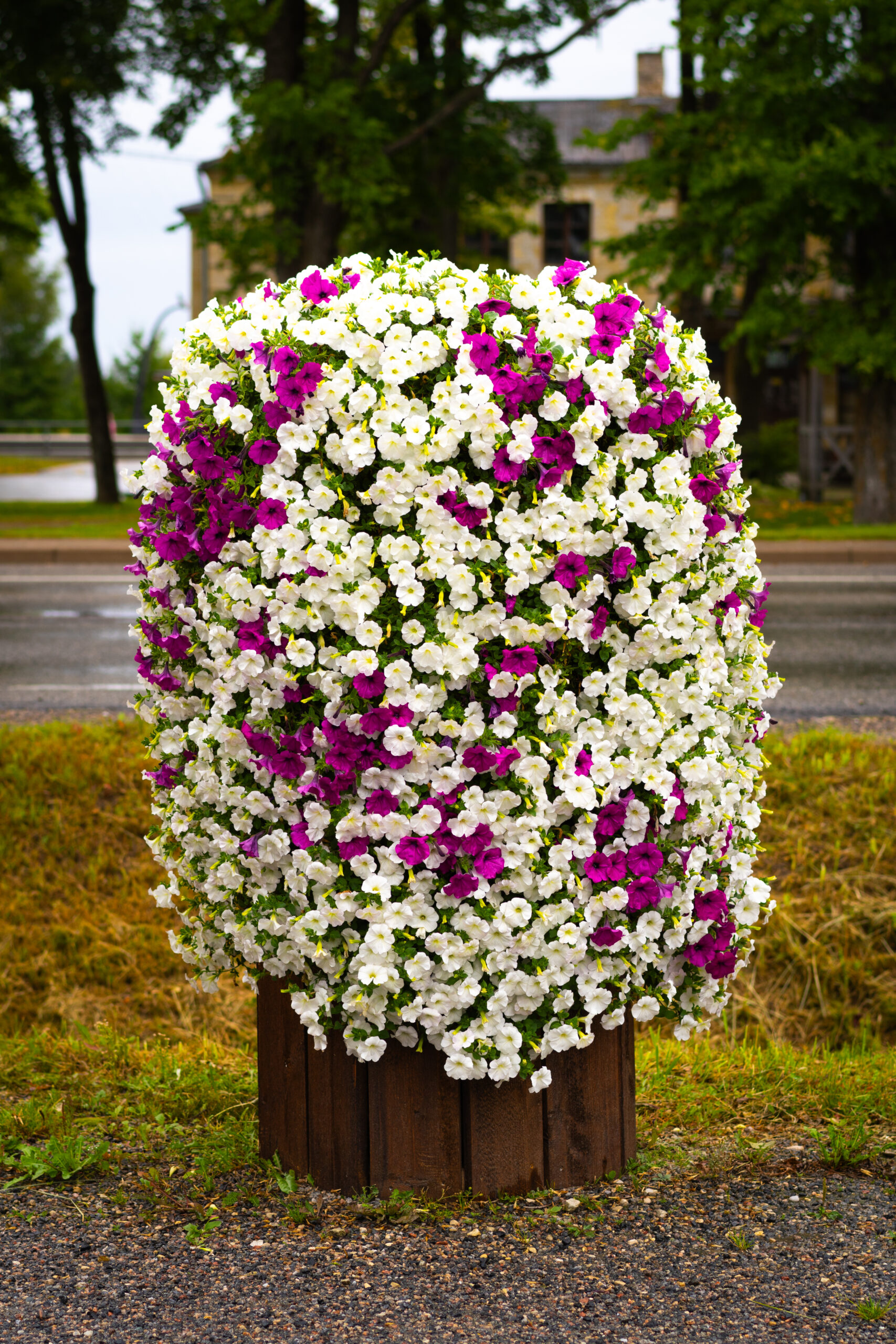 kliendi anuma täitmine