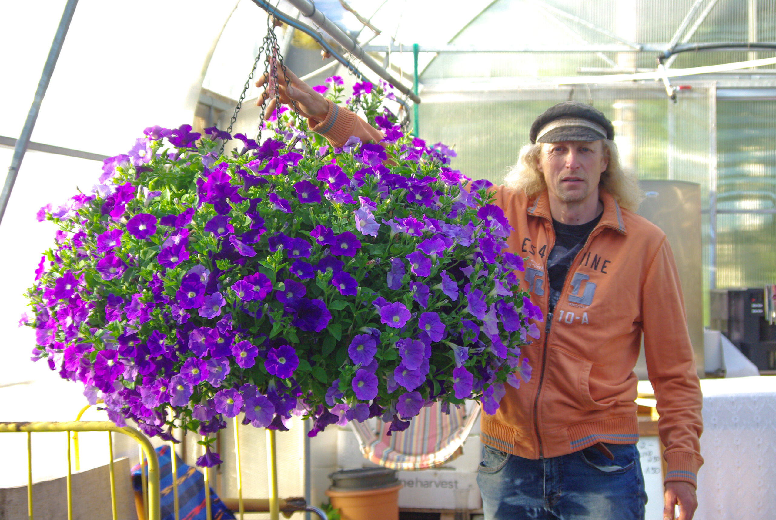 Elar 18-l ampliga 2023. aastal. Amplis on Light Blue ja Blue Lilleparun koos hiigelampliga