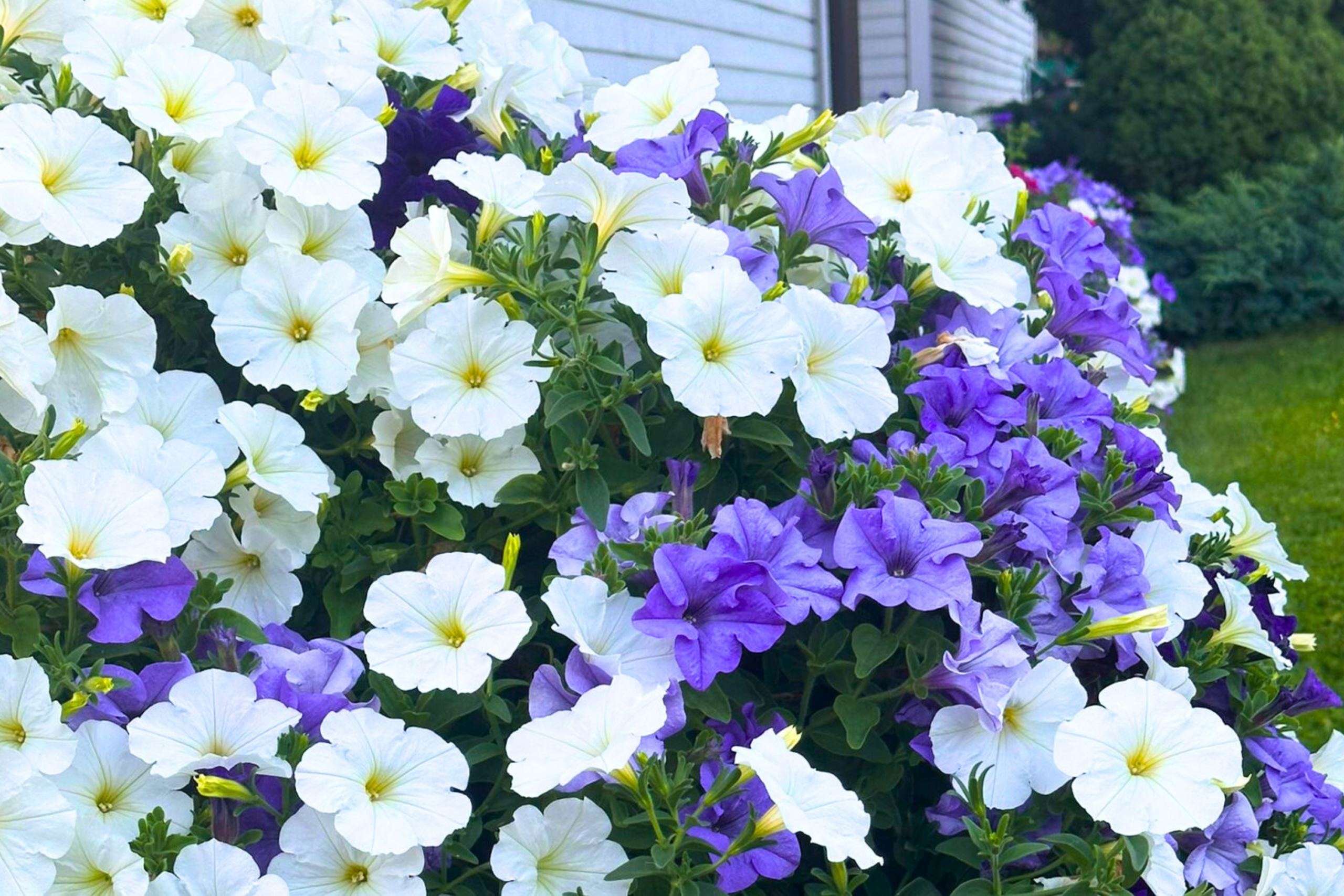 untitled design 12 untitled design 12